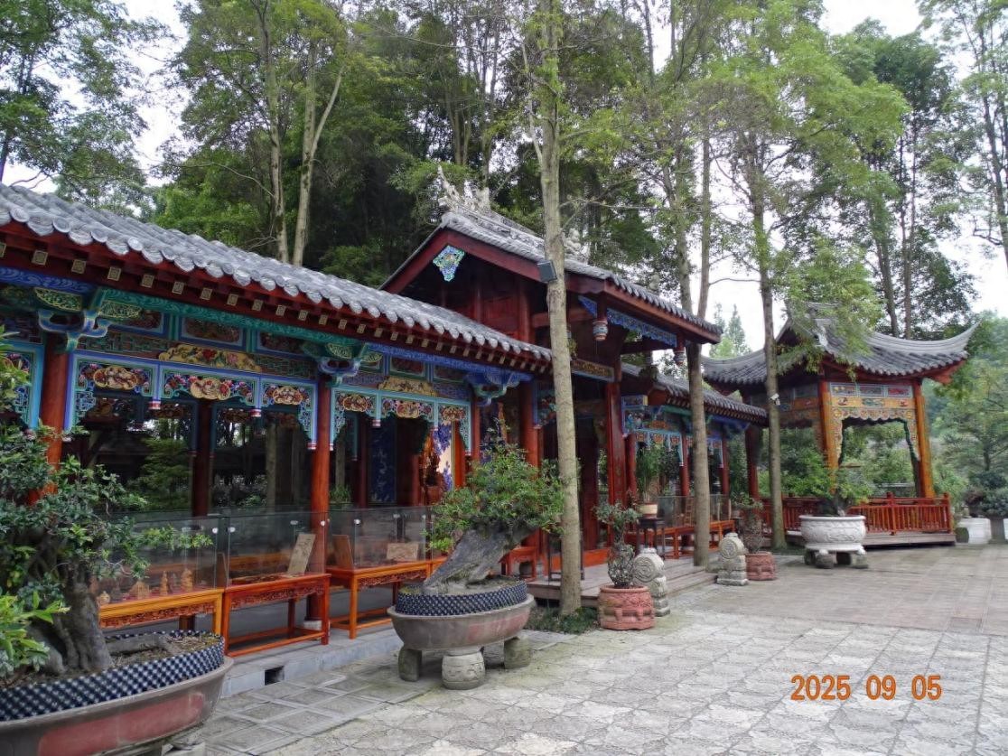 【企業家日報全媒體中心記者“探訪木玩村”